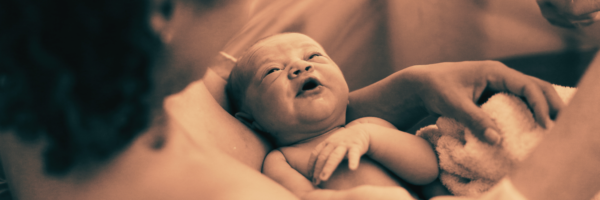Doula training newborn support supported embodied birth