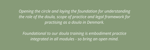 module 1 informational support the role of the doula copenhagen doulas doula training